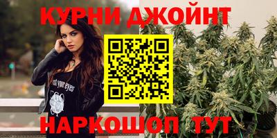 сатива Малгобек