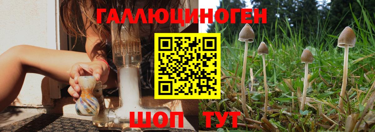 Псилоцибиновые грибы MAGIC MUSHROOMS  Галлюциногенные грибы Magic Shrooms  Вход с VPN  Дзержинский 