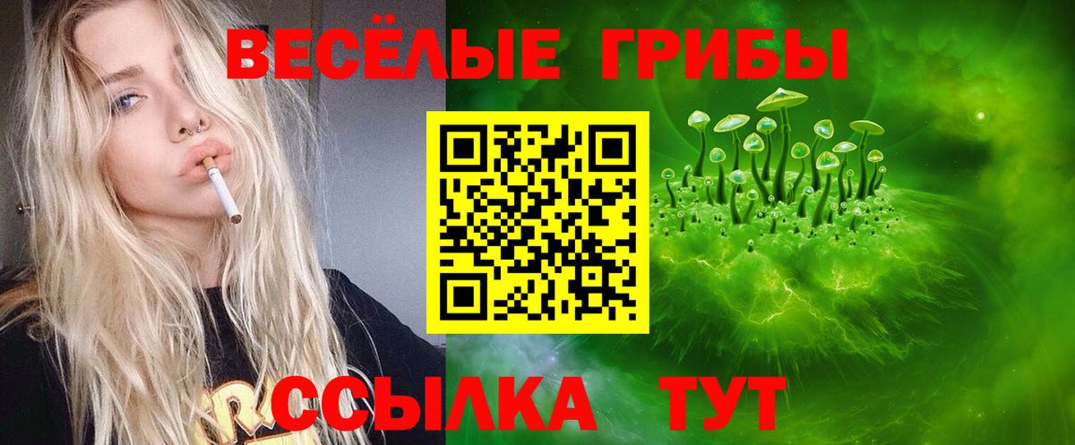 Псилоцибиновые грибы Cubensis Дзержинский